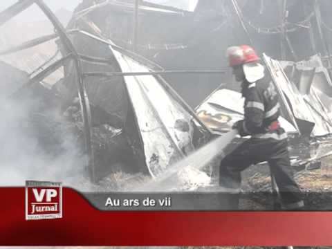 Au ars de vii