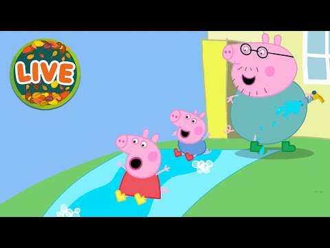 The Best of Peppa Pig Tales S002 | 🔴 LIVE 24/7 | Cartoons for Kids | 2026 | The Home of Peppa Pig