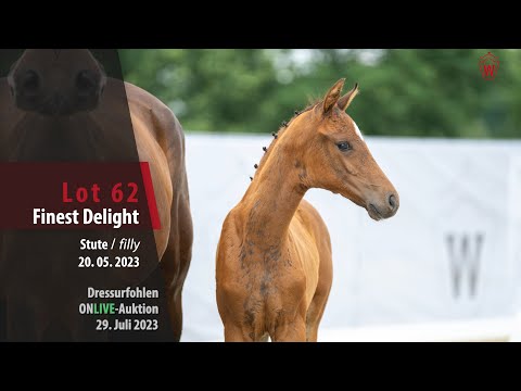 ONLIVE-AUKTION Lot 62 Finest Delight Stute v. Fanegro - Zoom