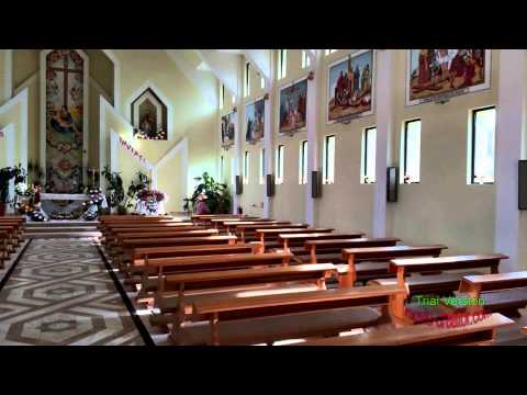 Dona nobis-Corul Parohiei Nicoresti