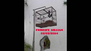 Príncipe William