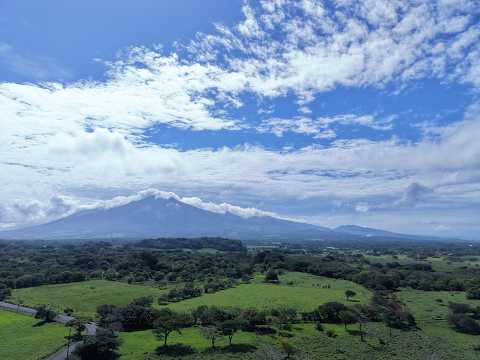 Guayabo de Bagaces Guanacaste