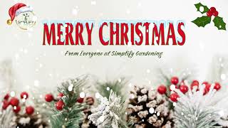 Merry Christmas From Everyone at Simplify Gardening
