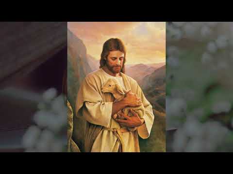 BỜ ĐÁ XANH TẠ TỘI