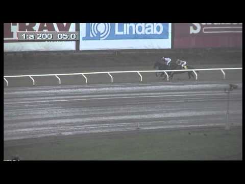 Kvalificeringslöpning 1, 2013-11-27