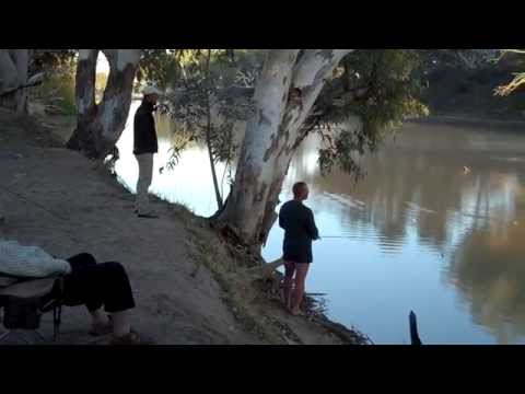 download lagu mp3 mp4 Coopers Creek Camping Sa, download lagu Coopers Creek Camping Sa gratis, unduh video klip Download Coopers Creek Camping Sa Mp3 dan Mp4 Youtube Gratis