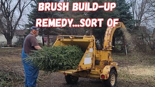 I rented a wood chipper to solve my brush build-up problem in the tree farm. It didn't go as planned