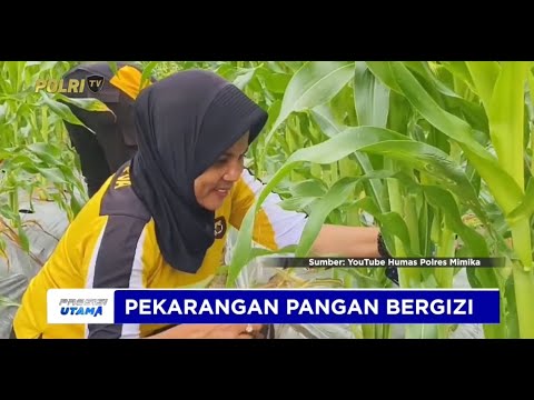 PENGECEKAN PEKARANGAN PANGAN BERGIZI POLRES MIMIKA