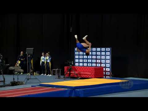 VOITIV Vitalii (UKR) M - 2022 Trampoline Worlds, Sofia (BUL) - Q Tumbling Exercise 1