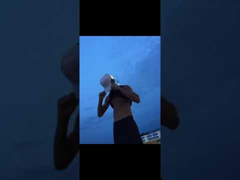 CLOUT DT - vivencia de cria ( aúdio original )