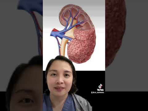 Does METFORMIN cause KIDNEY DAMAGE?