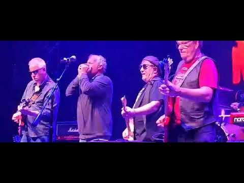 Promotional video thumbnail 3 for The Big Dog Blues Band