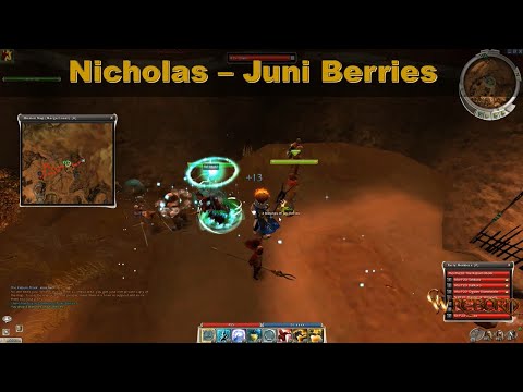 Guild Wars Nicholas - Branches of Juni Berries