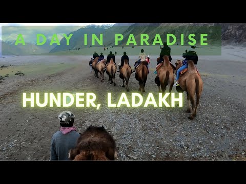 E-11| Ladakh Road Trip| Bactrian/Mongolian Camel Ride| #ladakh #cb350rs