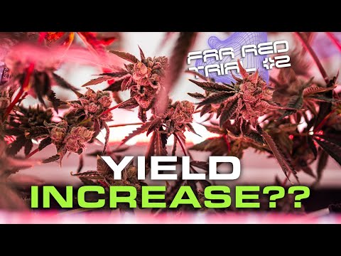 Yield Increase? Gelonade Harvest Far Red Trial #2 with Under Canopy Lighting