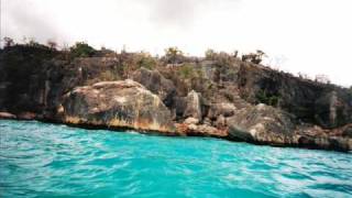 shamandura Eugenio Finardi