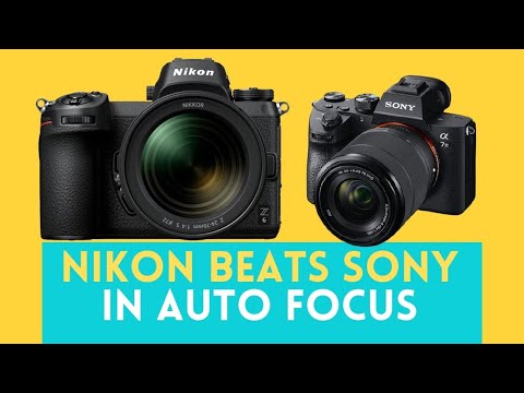 Sony A7iii vs Nikon Z6II: Who Wins in 2023? The Truth Is Not What You Expected!