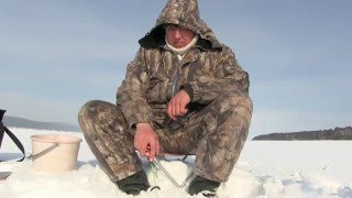 Ссылка