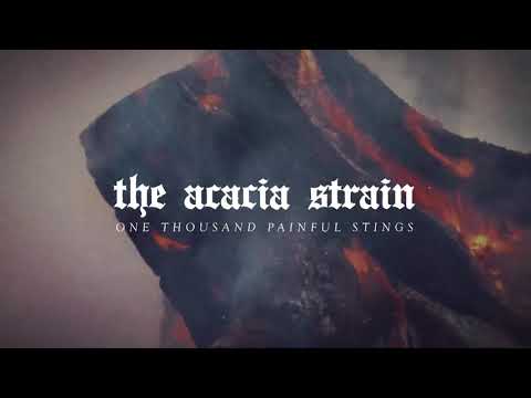 Video thumbnail for One Thousand Painful Stings