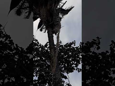 Serra de Ipaporanga Ceará , lugar muito bonito. 