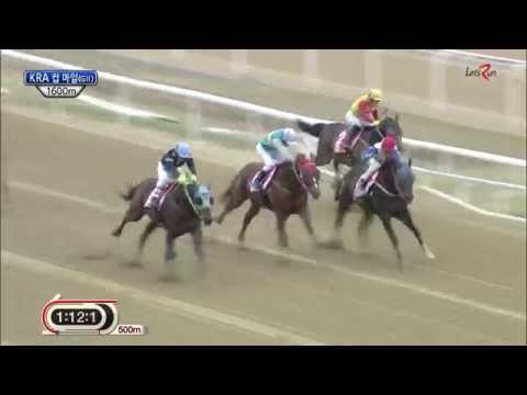 KRA Cup Mile 2015 Rafale