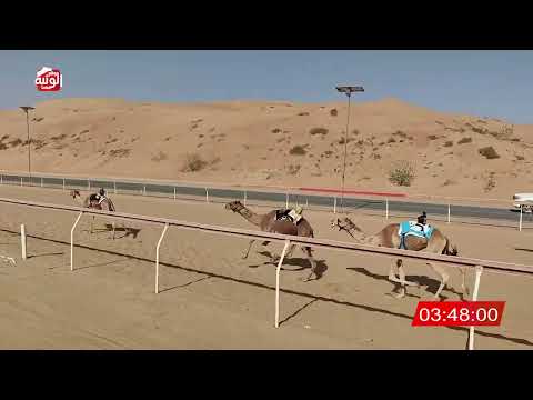 الشوط 19 (منعش) لـ راشد محمد راشد سعيد الخاطري  7:56 , شارة الديوان 2025/11/08 لقايا اللبسه 