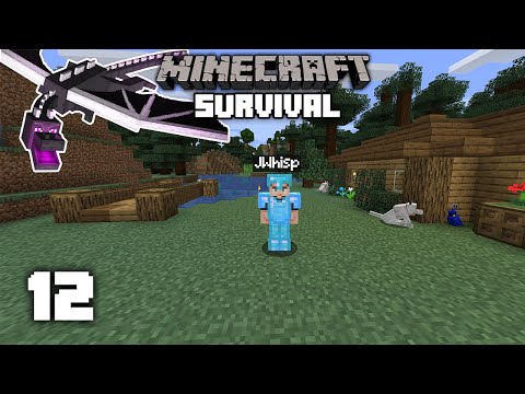 Minecraft: Ender Dragon Fight! - 1.15 Survival Let's play | Ep 12