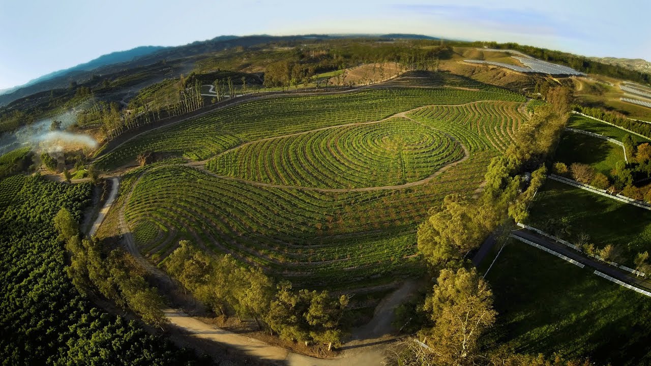 The Biggest Little Farm