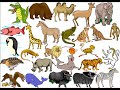 The Animal Alphabet With Geoffrey The Giraffe 1985