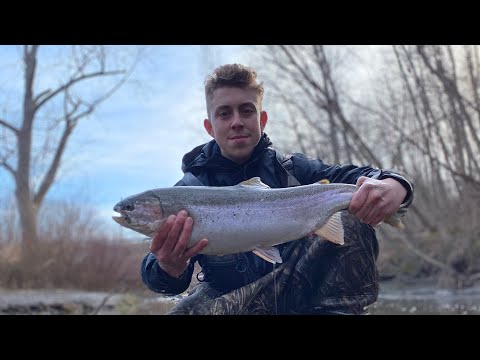 Winter Steelhead in Tiny Creek. BOBBER DOWN