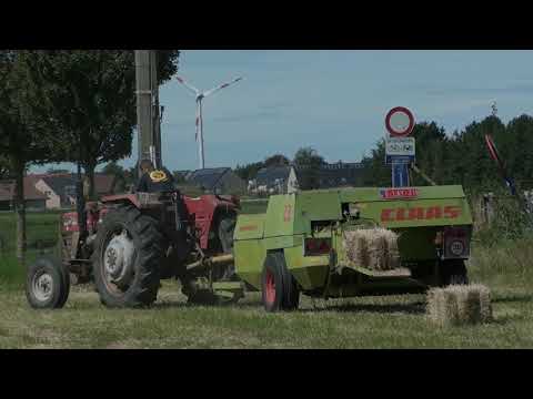 Landb. Ampe - Gistel - Massey Ferguson 155 - Claas Dominant
