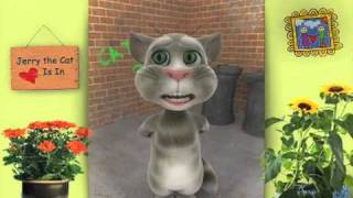 Jerry the Cat on Patience