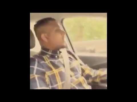 BEST OF PUREMOVEMENTS (COMPILATION)