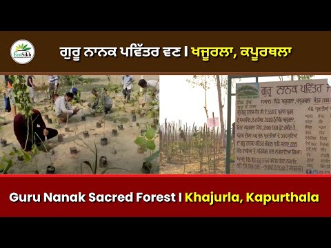 Guru Nanak Sacred Forest || Vill. Khajurla || Kapurthala