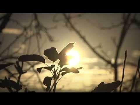 Video de Encerramento - Transcatarina 2013