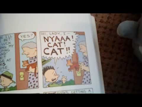 Big Nate Reading 2: Snookums! NOOO!