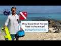Does BLU3 Nomad float or need a flotation ring like Brownie's Third Lung tankless dive systems?