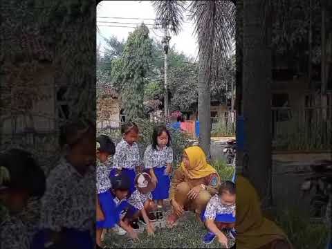 MPLS KOBER TUNAS JELITA (PENGENALAN LINGKUNGAN SEKOLAH) 2024