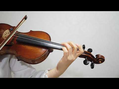 호만3권 230 / 243 hohmann book3