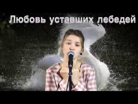 Елизавета Качурак - «Любовь уставших лебедей» (cover Лара Фабиан)