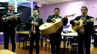Mariachi.  Azteca de. Indianapolis.   317 2258565