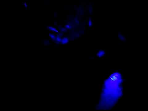 Erick E @ Beatloverz fairytales TRACK ID ??