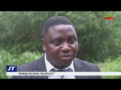 JOURNAL DE 20H DU 12 JUIN 22