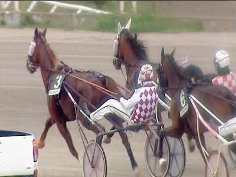 Trotto 31/05/2019 - 5ª corsa