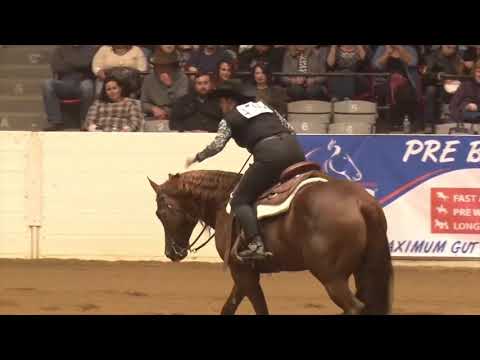 2019 Quarter Horse Congress Freestyle Reining Charlie Thiel Multicam