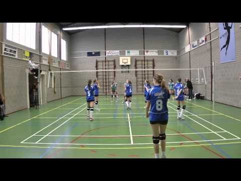 Achilles D3 - Flamingo's D5 v4