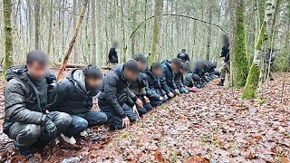 Polonia localiza un túnel en la frontera con Bielorrusia por el que han cruzado decenas de personas