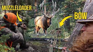 Team Muzz VS. Team Bow! - BIG BULL at 40 Yards!