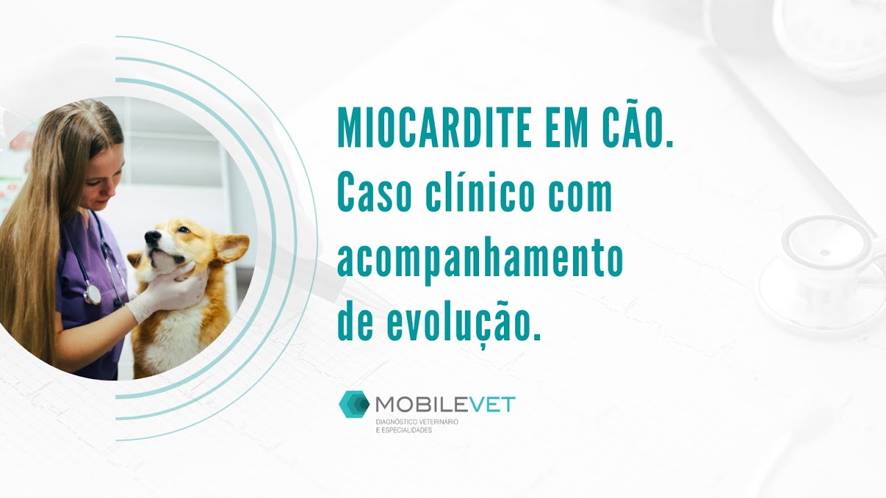 Miocardite em cão. Caso clínico com acompanhamento de evolução.