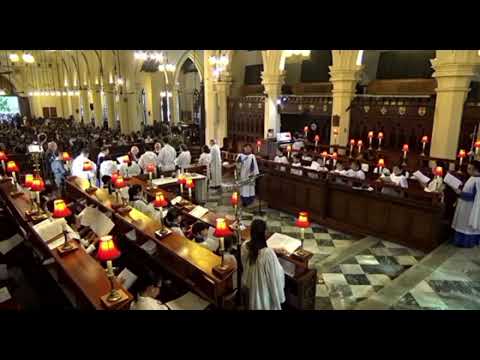 Hark, the glad sound! (David Thorne) #advent